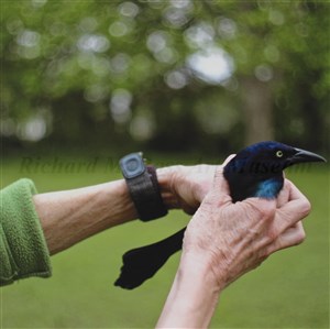 Image description is not available for 2014.077